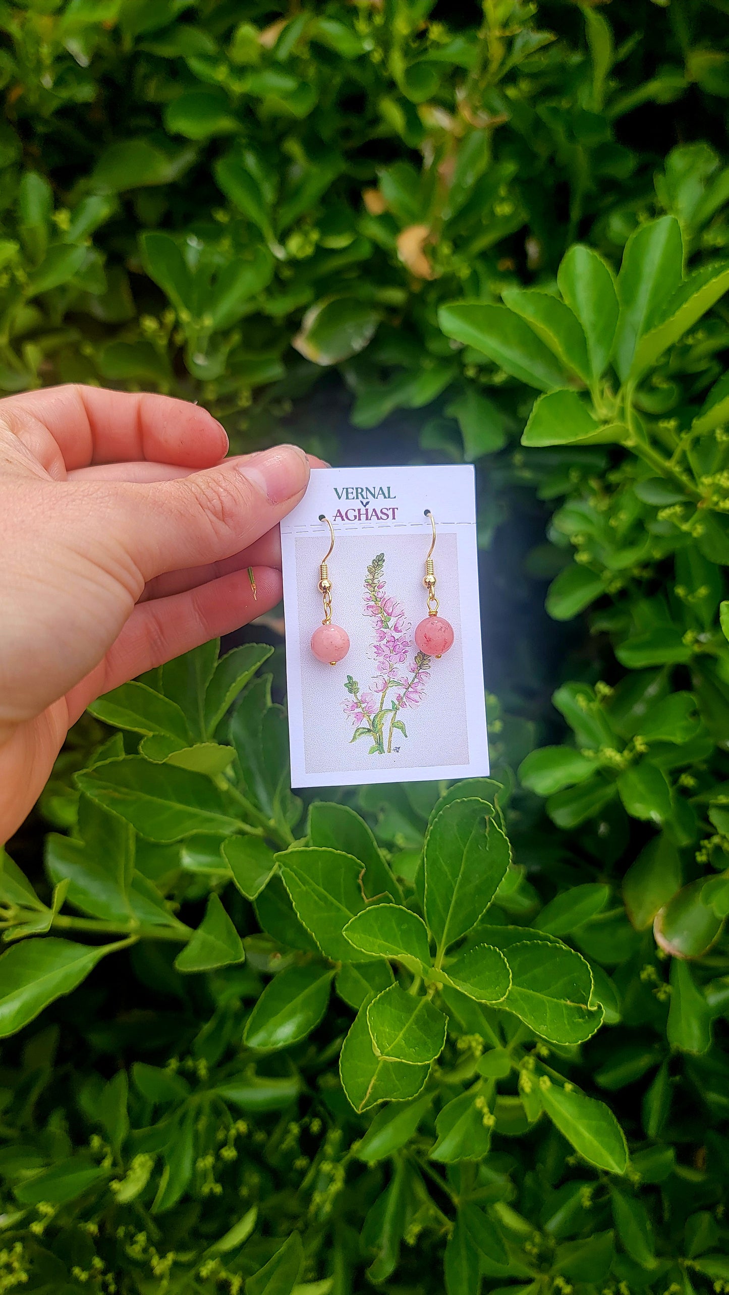 MINI Spring Collection