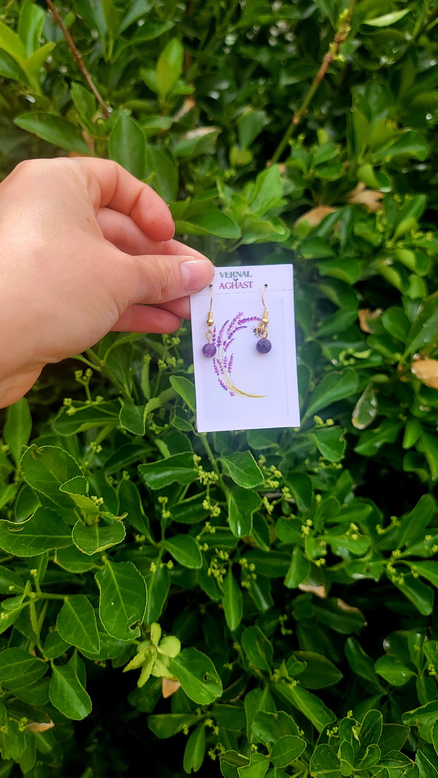 MINI Spring Collection