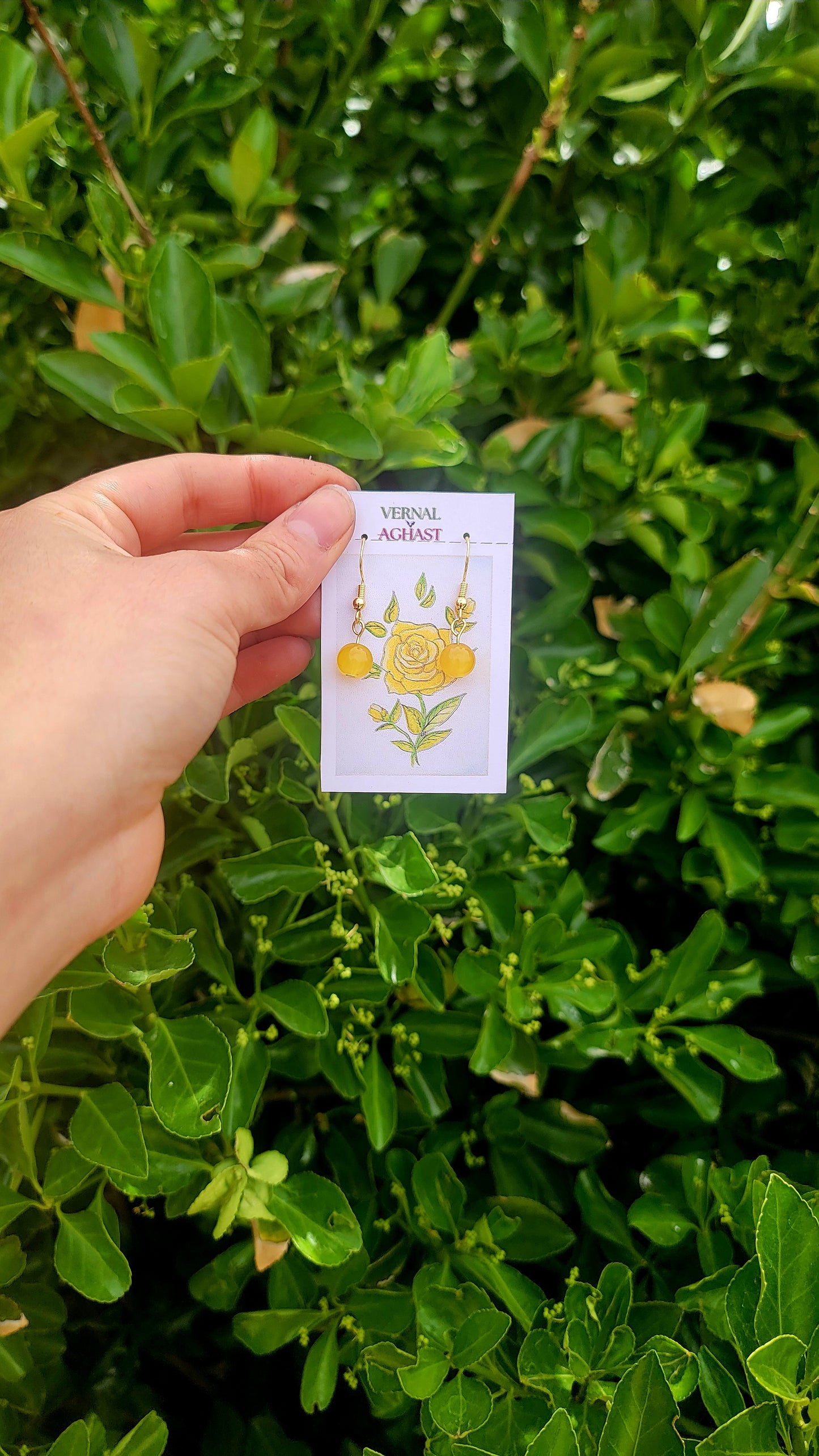 MINI Spring Collection