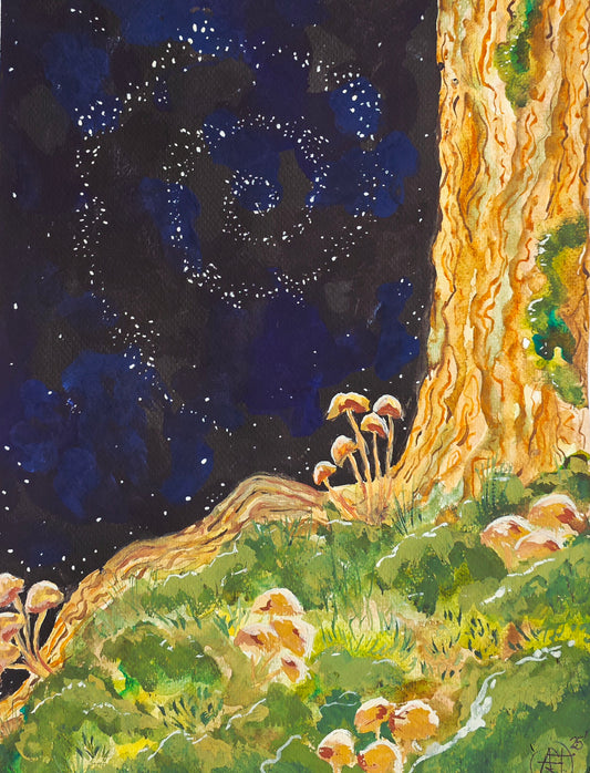 Spiral Mushroom Dream Painting and Prints